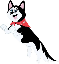 Smiling black and white husky dog wearing a red bandana
