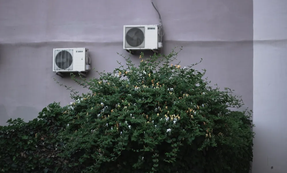 Dense green bush with white and yellow flowers near two air conditioning units