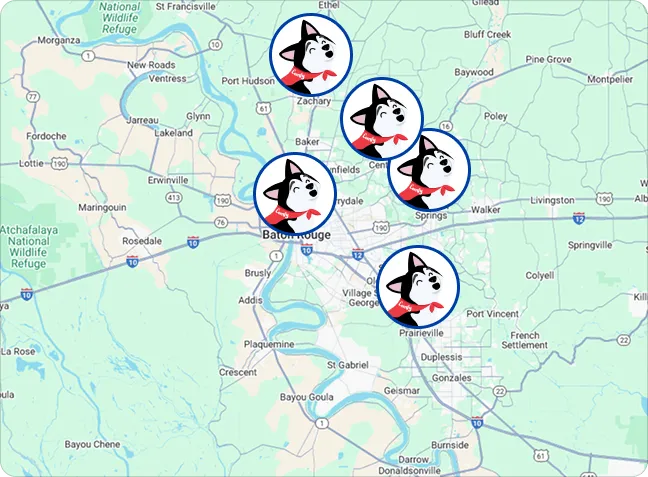 Cartoon husky icons mapped around Baton Rouge, Louisiana