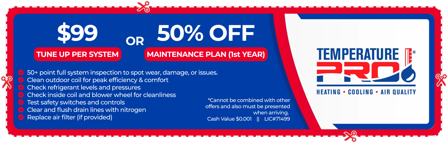 Promotions 50% off