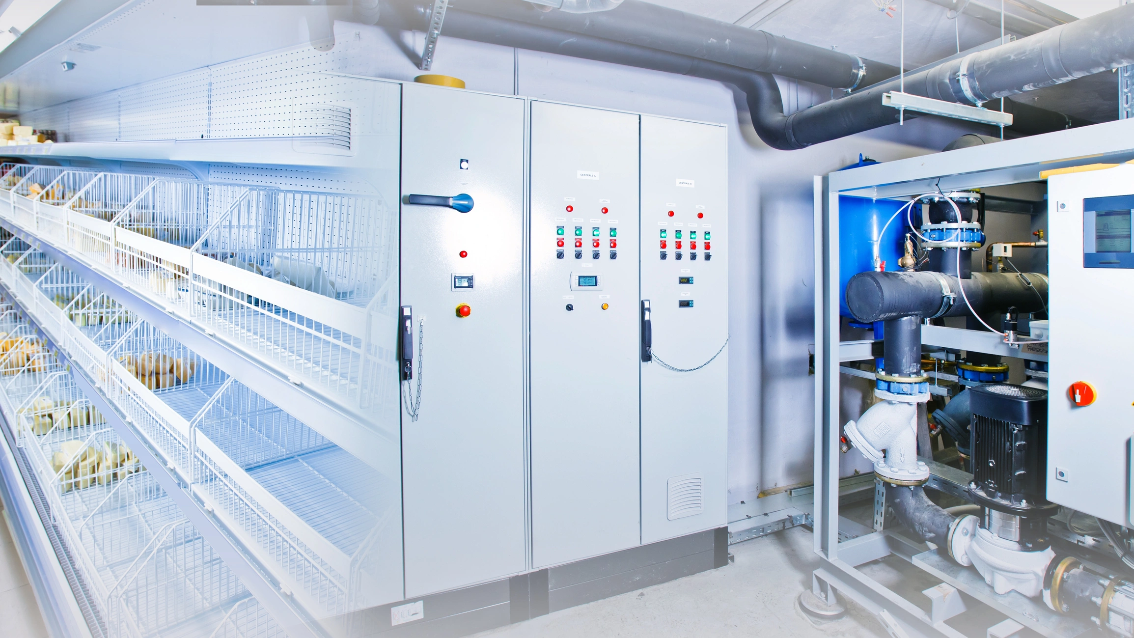 A spacious room featuring a large walk-in freezer and a sizable refrigerator for food storage.
