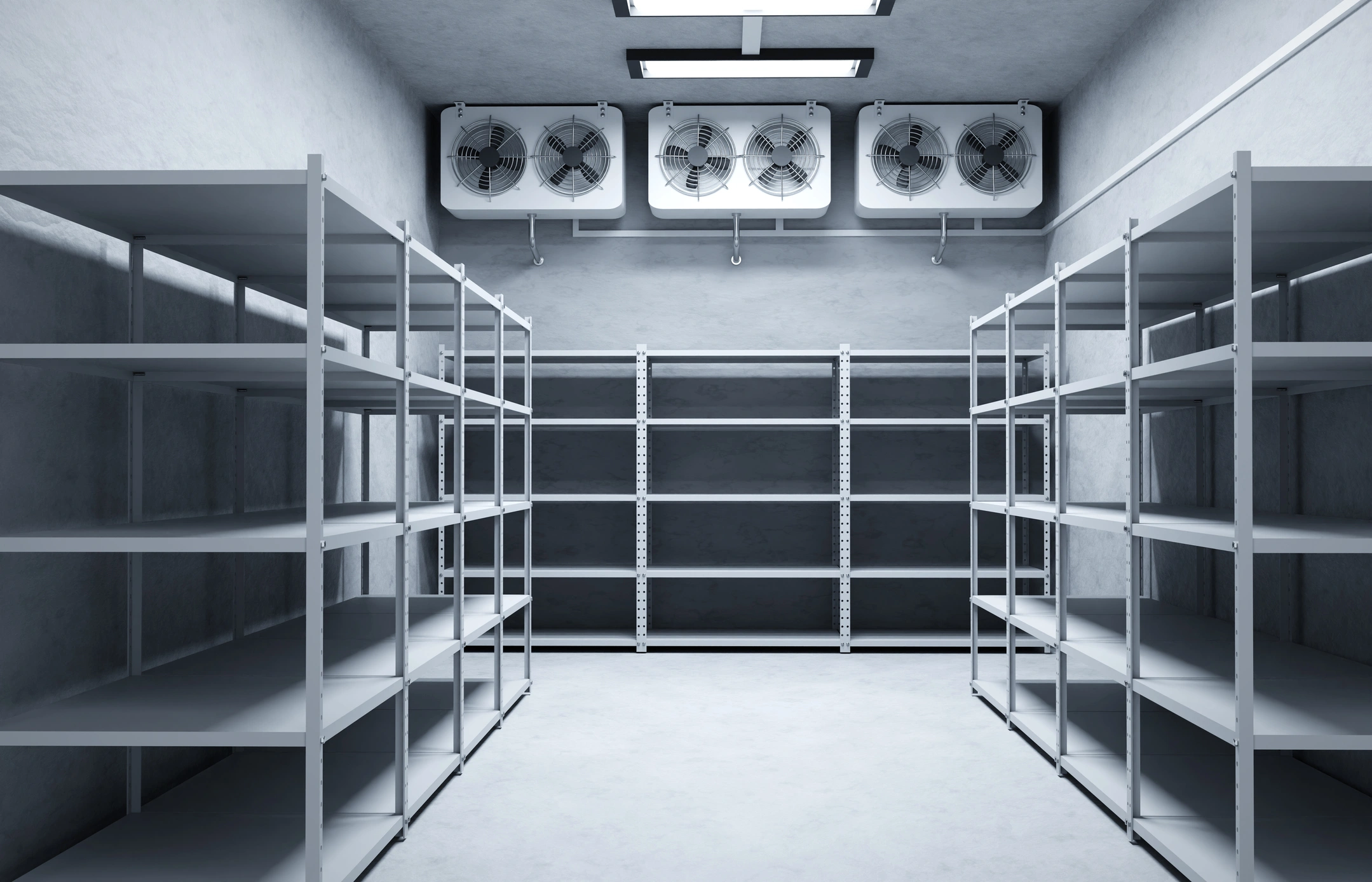 A walk-in freezer room featuring shelves and air conditioning units for optimal temperature control.