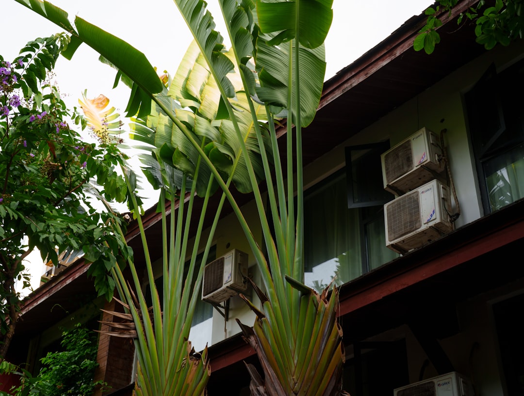 The Final Countdown: Knowing When to Swap Your Southern AC Unit