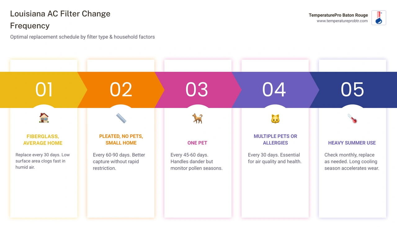 Infographic showing Louisiana AC filter change frequency by household type and filter variety - how often should you change