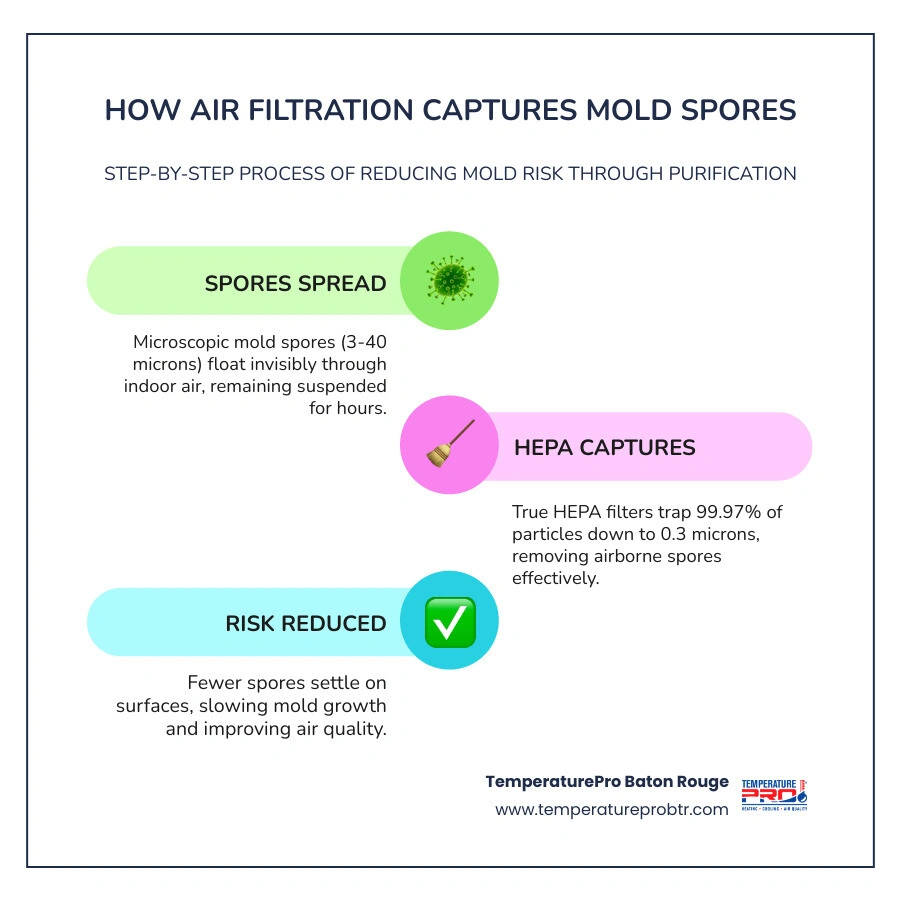 Infographic showing how mold spores spread indoors and how air filtration captures them step by step - how air filtration Infographic showing how mold spores spread indoors and how air filtration captures them step by step - how air filtration