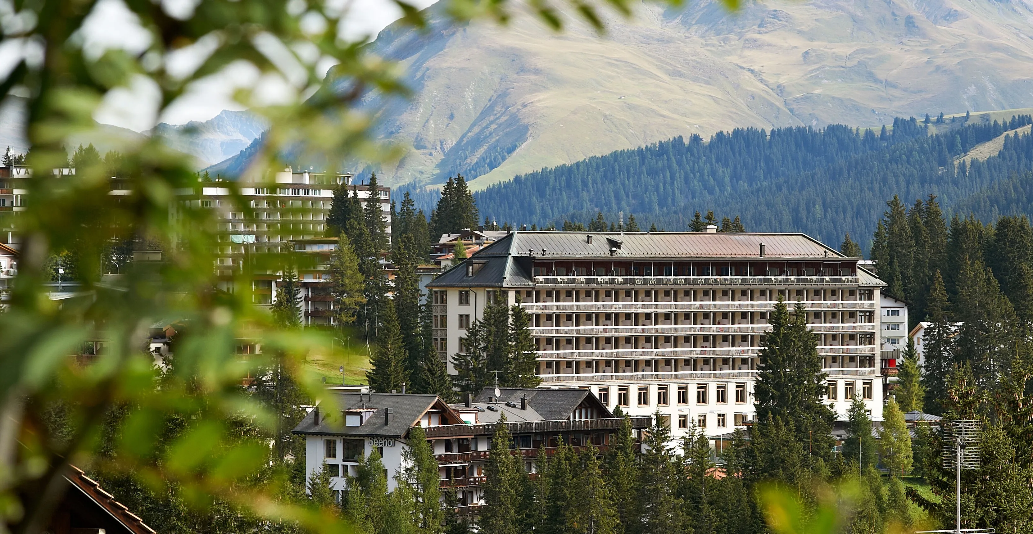 Several multi-story buildings among evergreen trees with mountains in the background on a clear day.