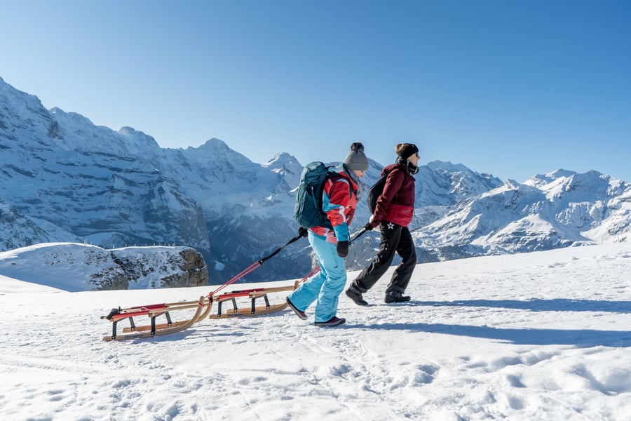 Two walkers pulling a wooden sledge across an open snowfield above Wengen