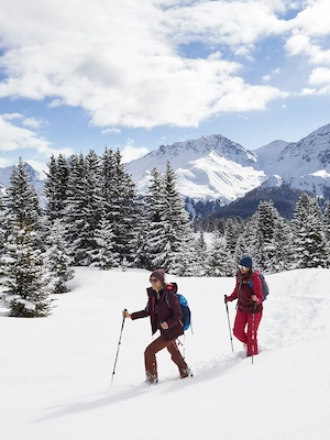 Faern Crans Experiences