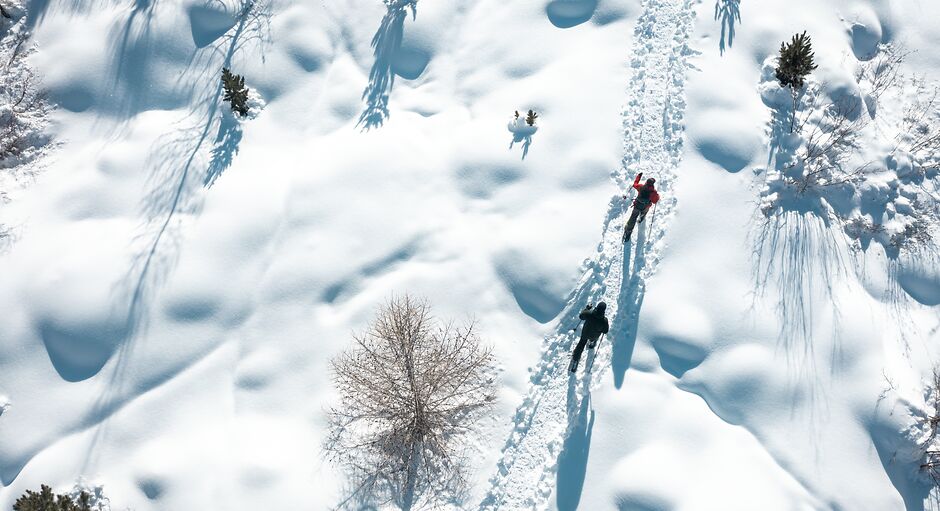Guided Snowshoe Tours in Wengen