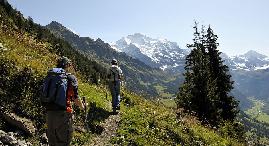 Chamois Trail 