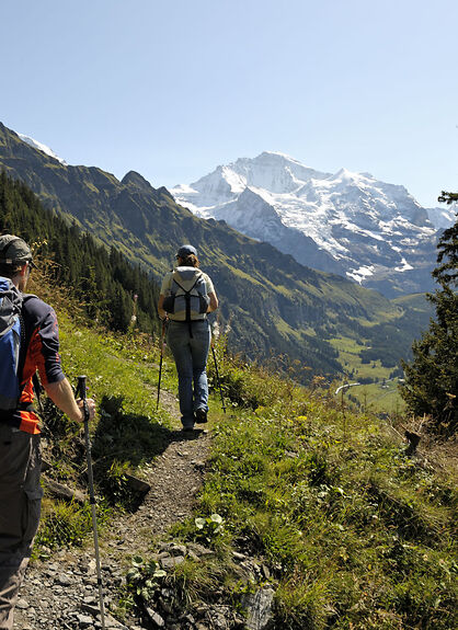 Chamois Trail 