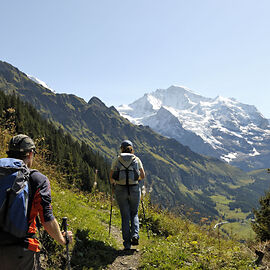 Chamois Trail 