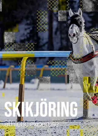 White Turf Horse Races 