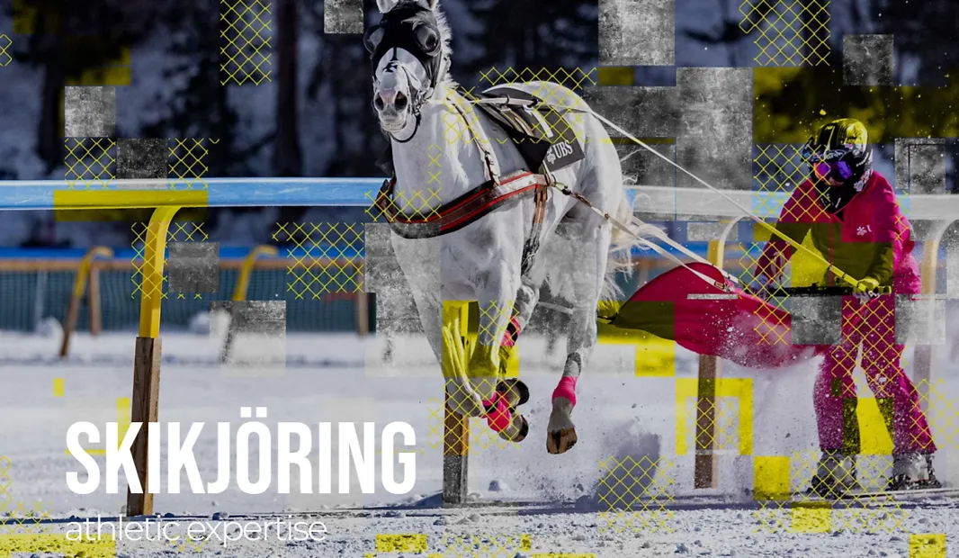 White Turf Horse Races 1