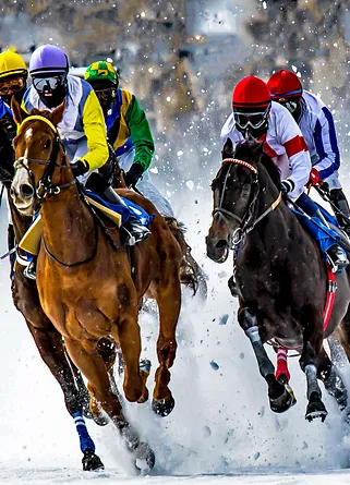 White Turf Horse Races 