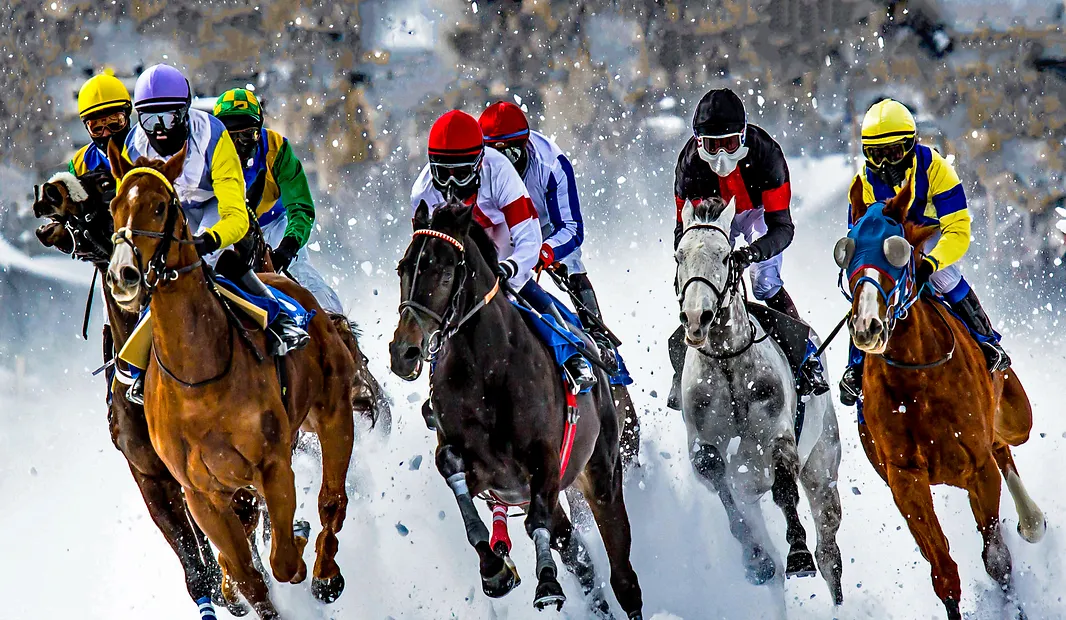 White Turf Horse Races 1