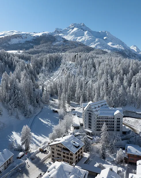 Faern resorts & spa swiss alps