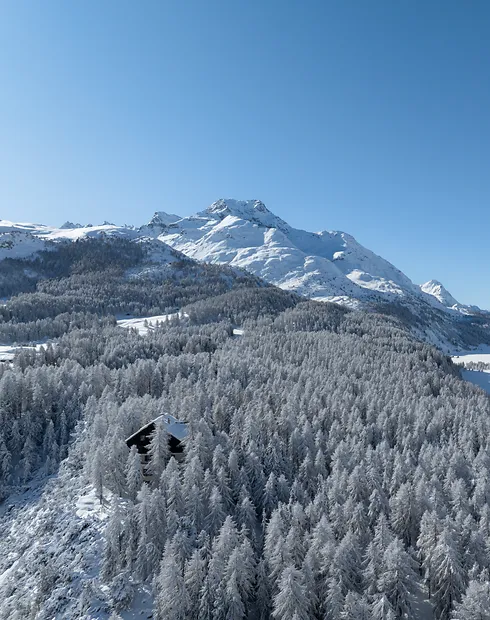 cinema room at schweizerhof sils maria