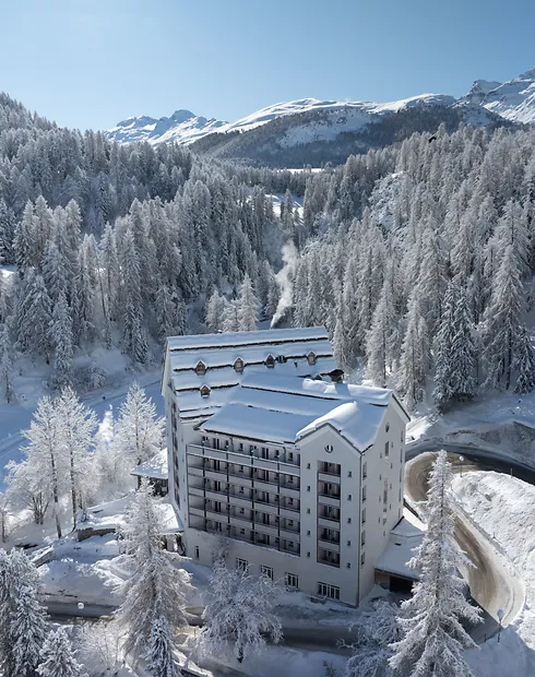 arrivals - resort Faern resorts & spa swiss alps