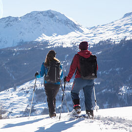 Snowshoe Hiking in Arosa