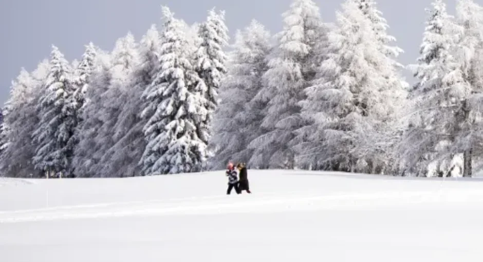 wide explorations crans montana resort & spa Faern