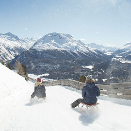 Sledding in Sils Maria