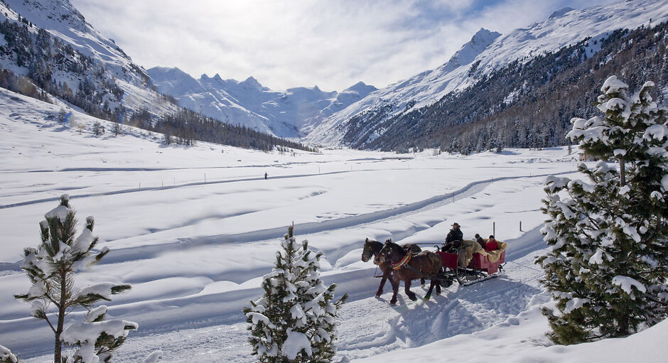 Horse-Drawn Carriage Rides in Sils Maria