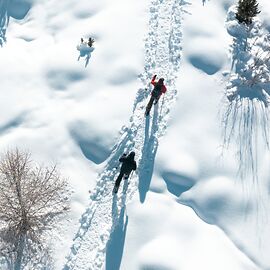 Guided Snowshoe Tours in Wengen