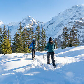Ski Touring Wengen