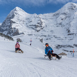 Sledging in Wengen - Copyright © Jungfrau Region Tourism.
