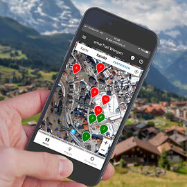 Solve Wendy’s Mystery Trail