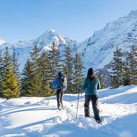Snowshoe hiking in Wengen - Copyright © Jungfrau Region Tourism