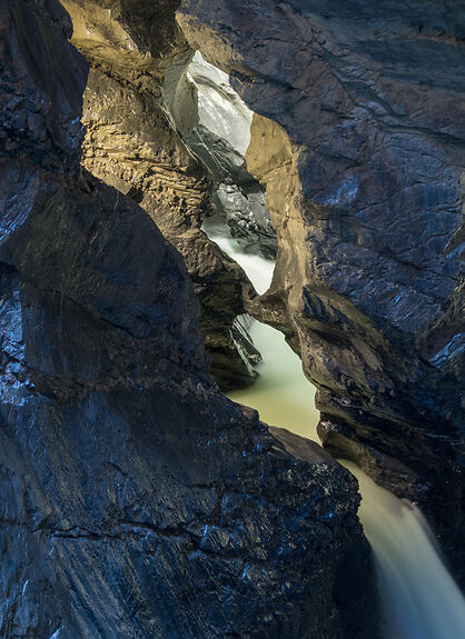 Allmendhubel Flower Park