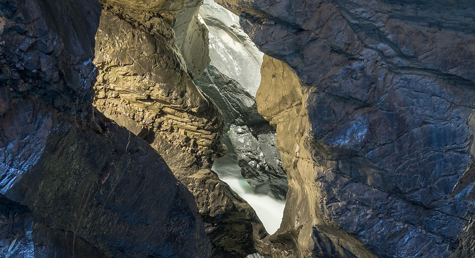 Allmendhubel Flower Park