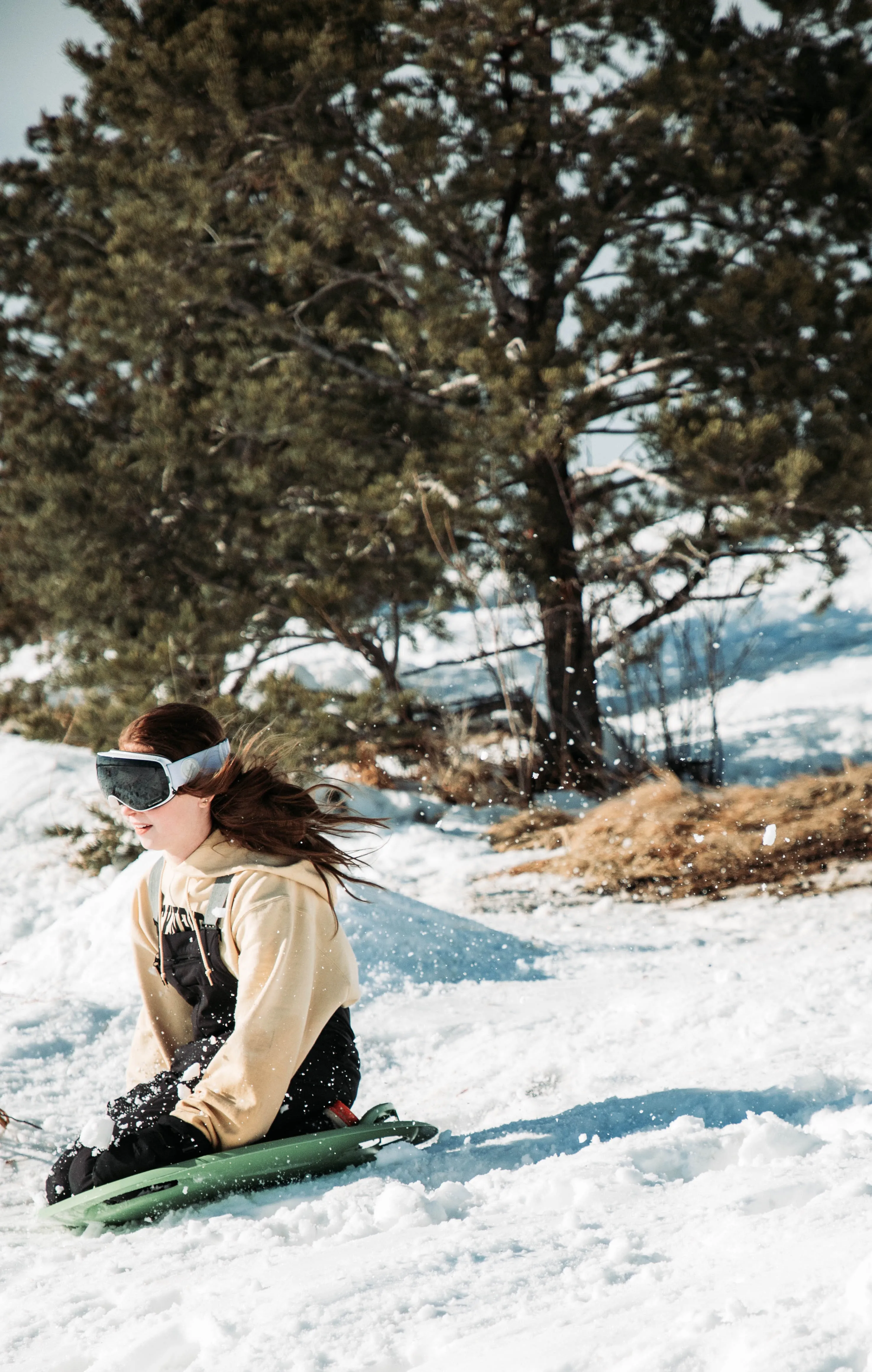Tobogganing in the alps