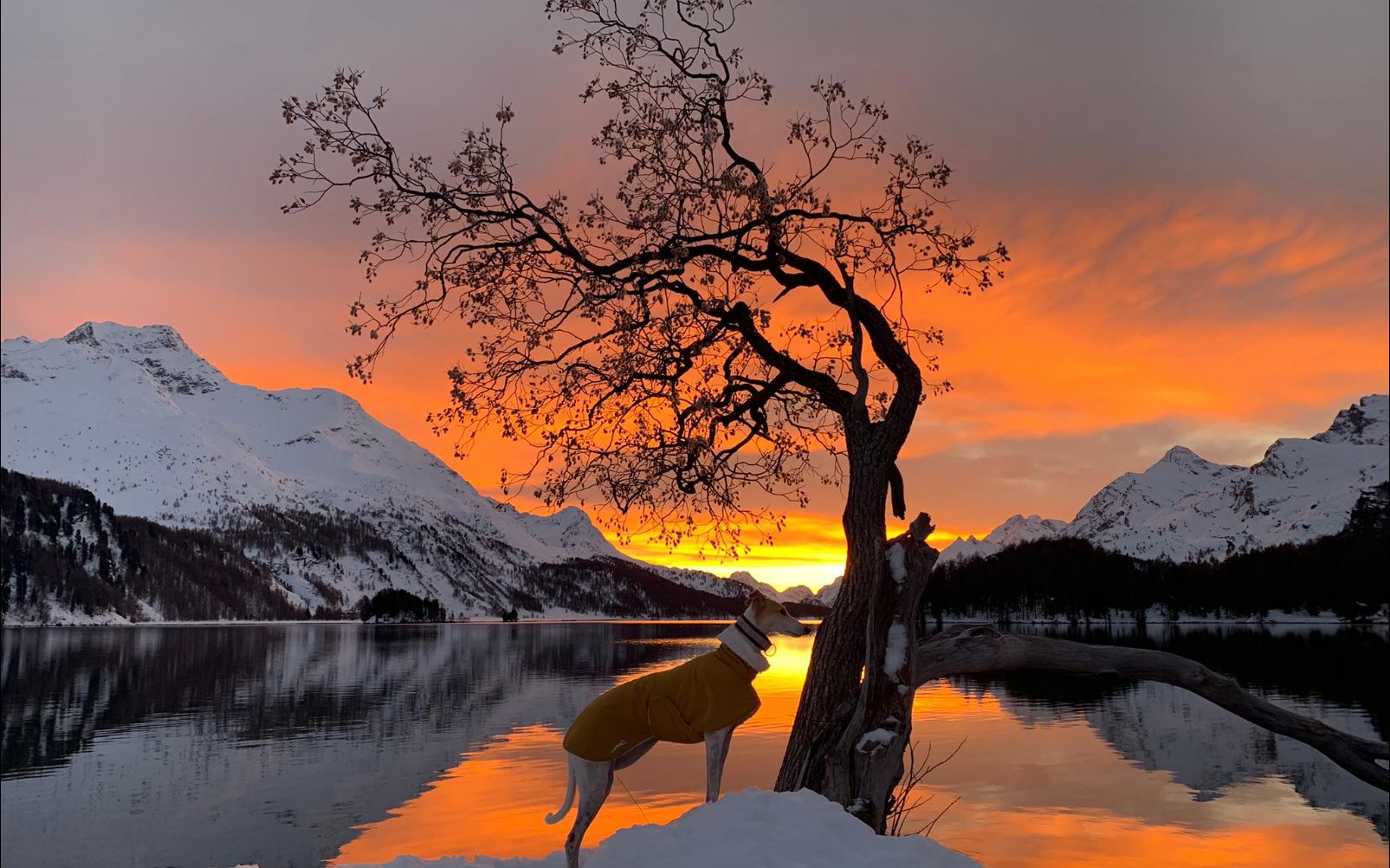 A woman wearing a pink shirt and a white scarf