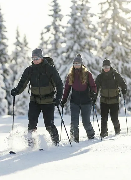 Skitouring for Beginners in Arosa