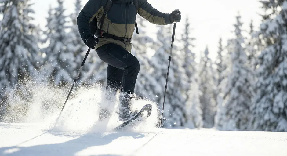 Snowshoe Hiking in Arosa
