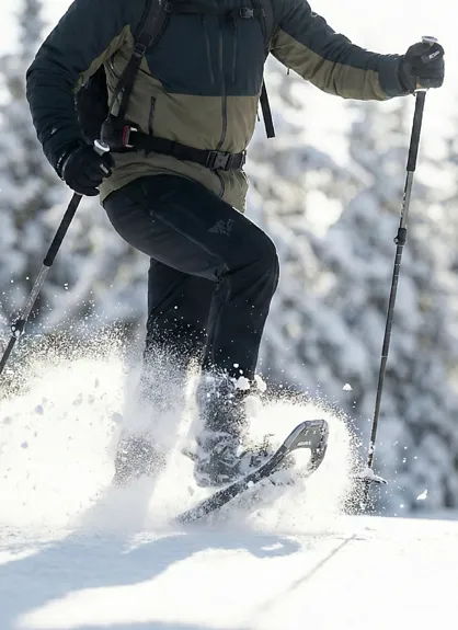 Snowshoe Hiking in Arosa