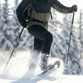 Snowshoe Hiking in Arosa