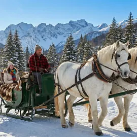 Horse drawn ride arosa winter