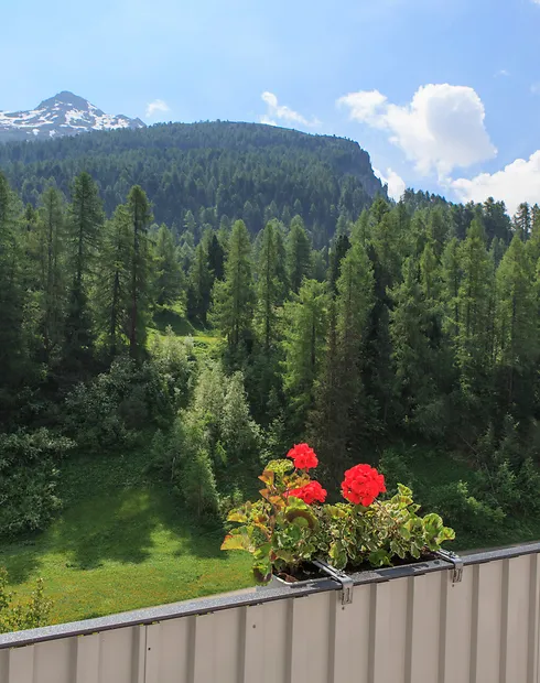 haus im schnee Faern resorts & spa schweizer alpen