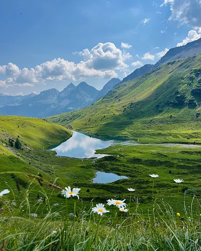 Daisies in green meadow overlooking reflective lake and mountain range under blue sky.