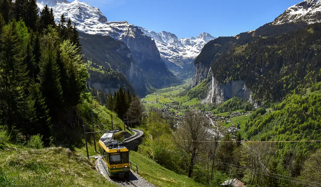 Yellow train moving through green valley with snow-capped mountains and forests under blue sky.