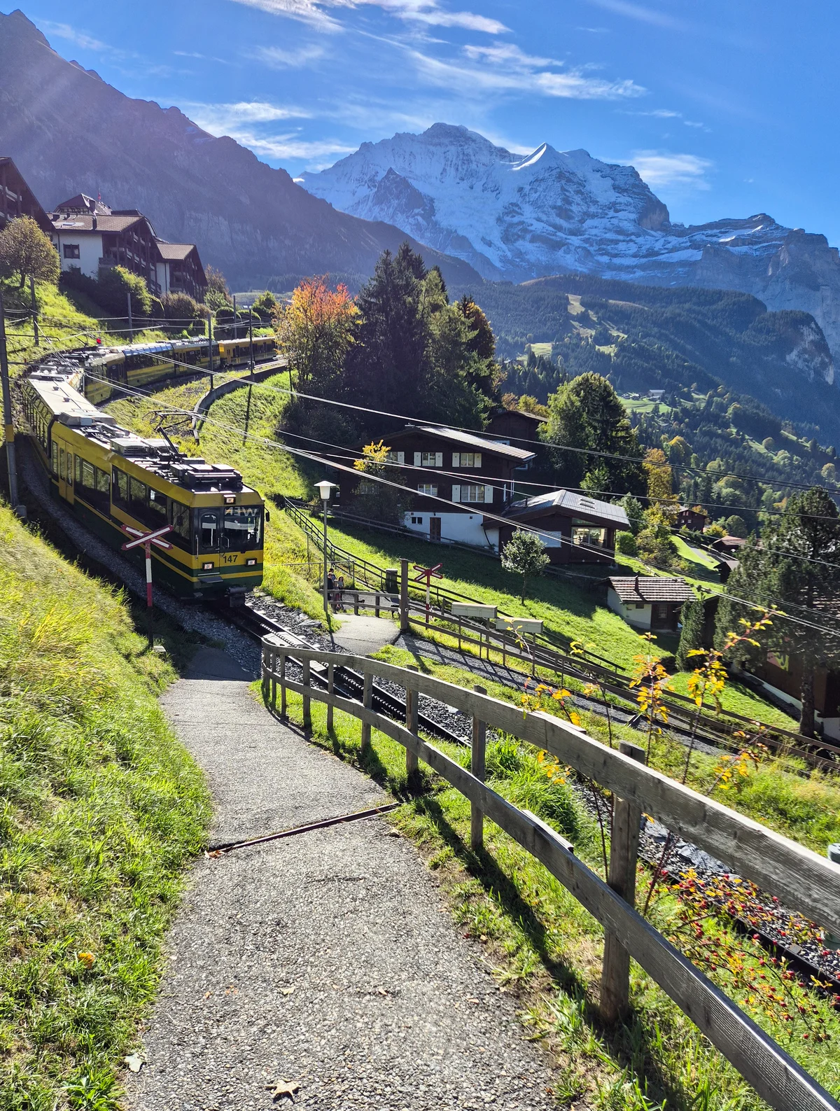 Yellow Wengernalpbahn train winding through autumn slopes near Wengen