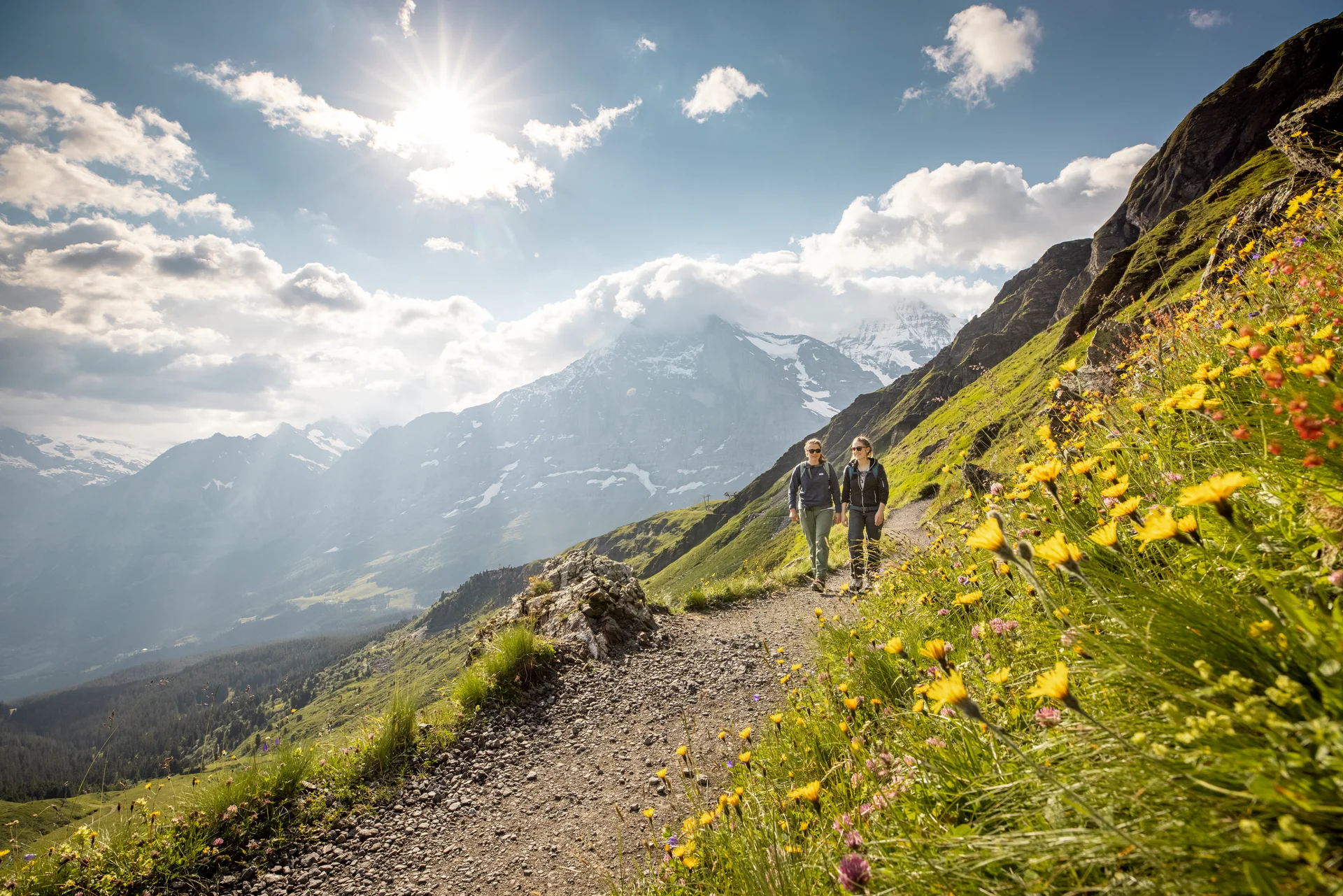 Visit Wengen in Summer what do fo 