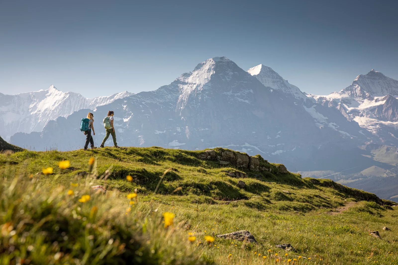 Two hikers crossing a green ridge with the Eiger and Mönch in the background