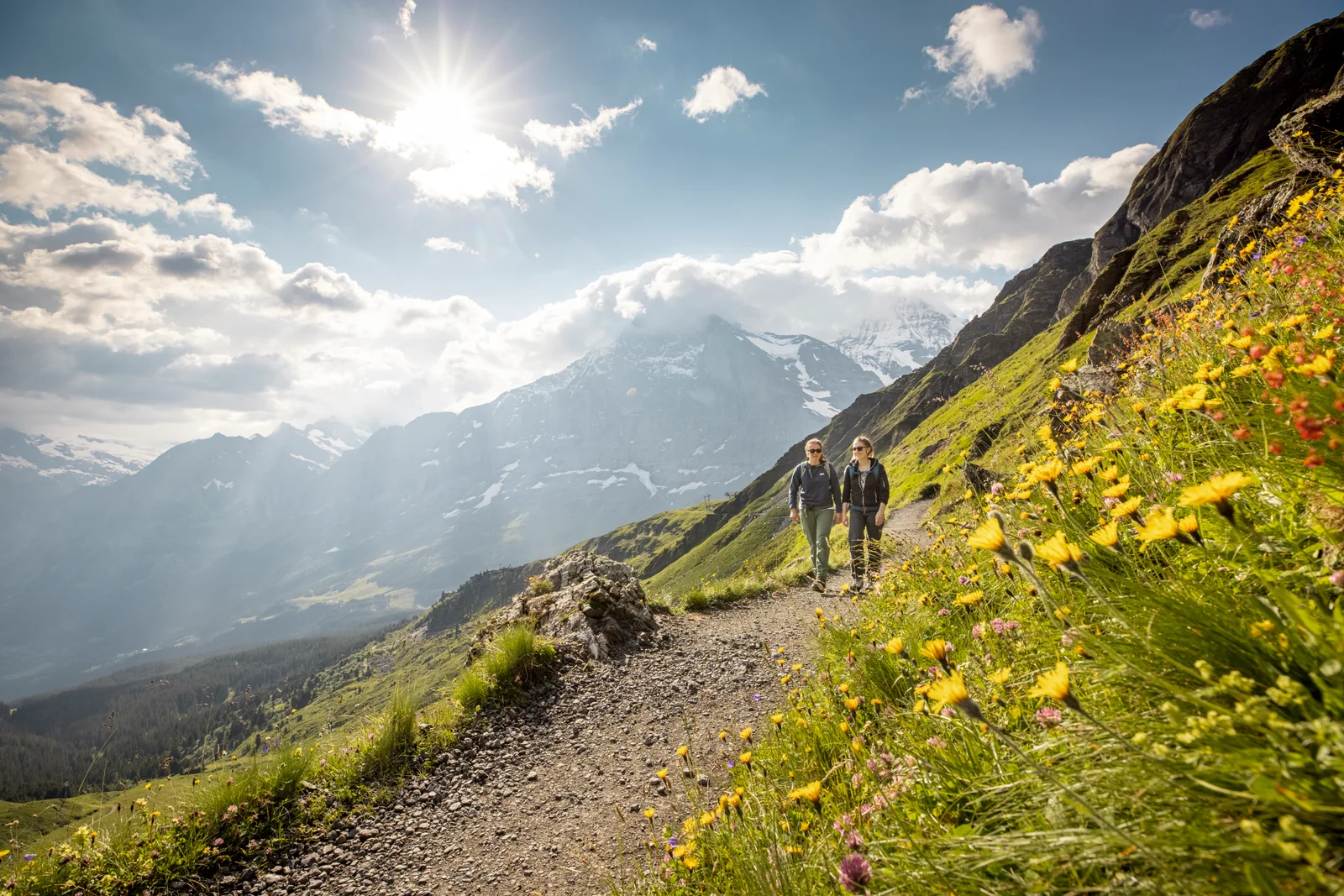 Hikers on the panorama trail between Männlichen and Kleine Scheidegg with snow-capped peaks ahead