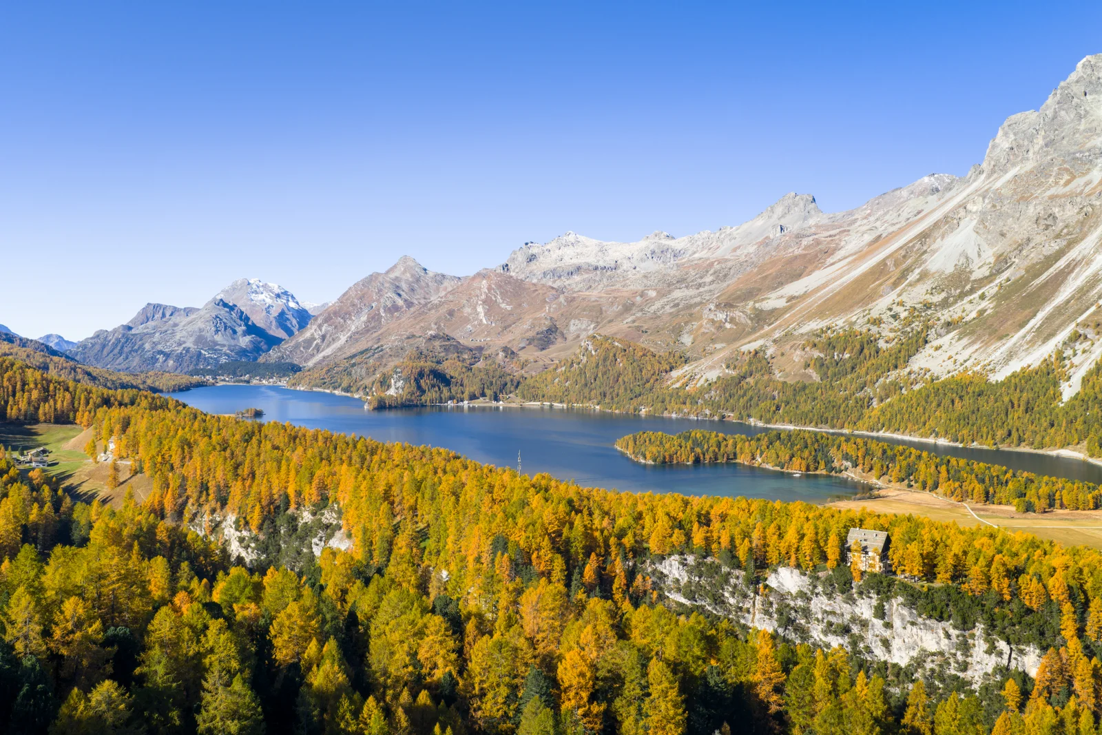 Wooded peninsula reaching into Lake Sils near Sils Maria