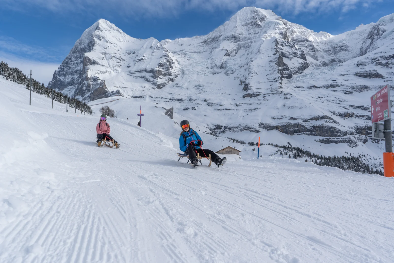 Zwei Personen beim Schlitteln auf einer präparierten Bahn über Wengen, im Hintergrund der Eiger